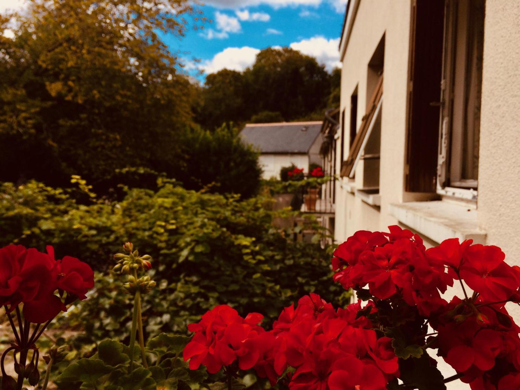 Le Clos Rabelais Langeais Bagian luar foto
