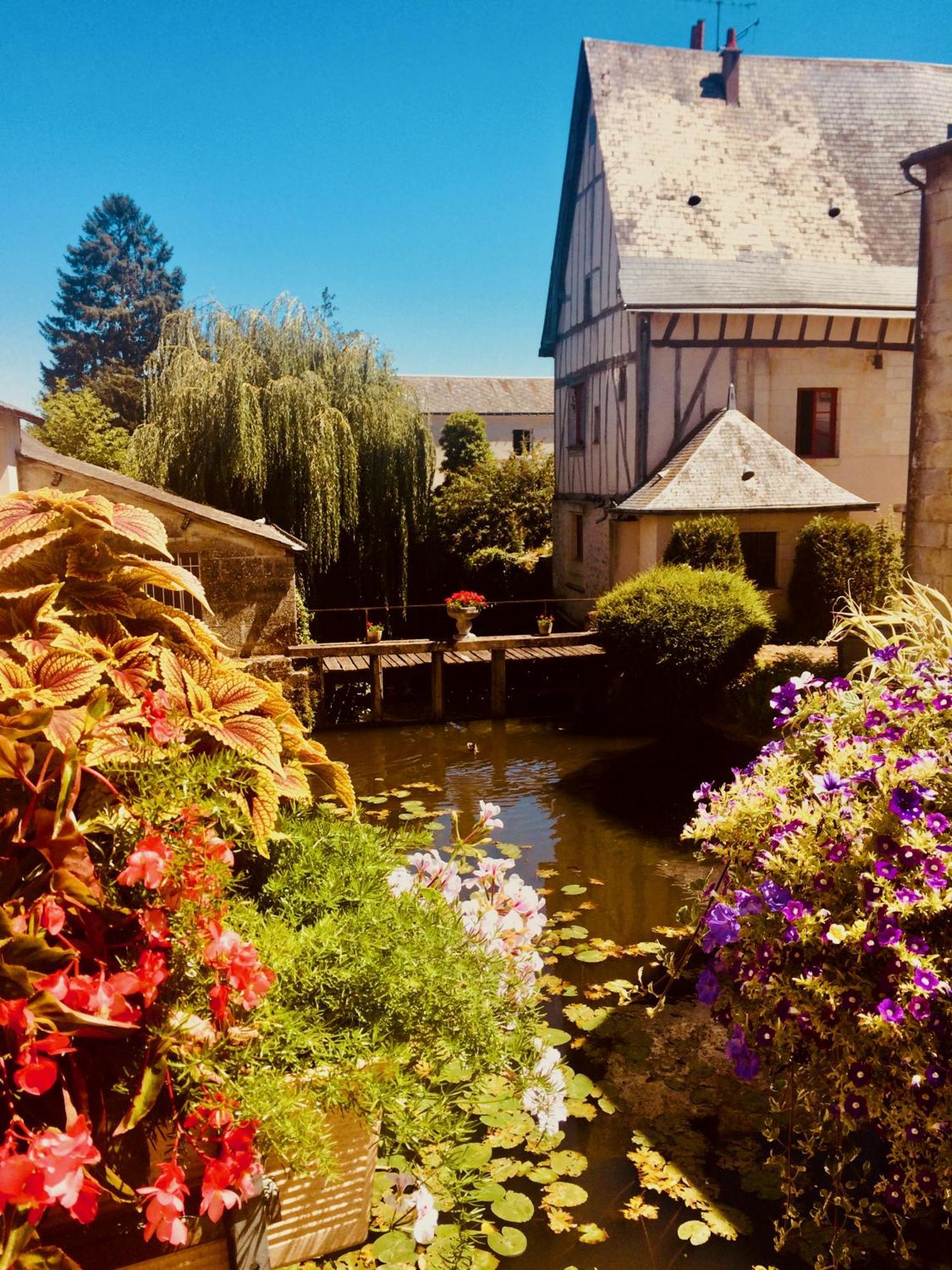 Le Clos Rabelais Langeais Bagian luar foto